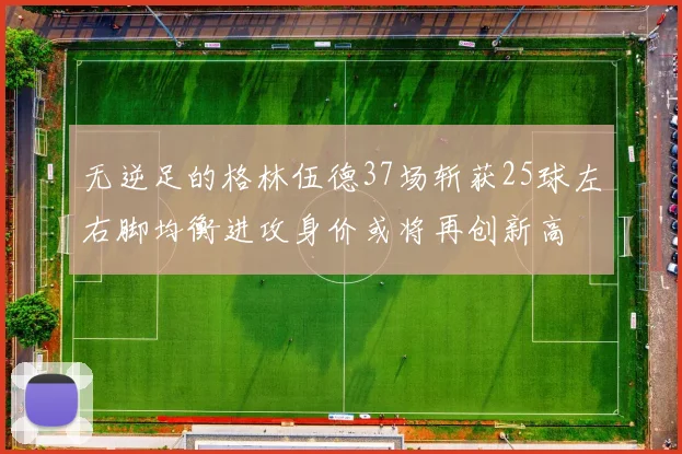 无逆足的格林伍德37场斩获25球左右脚均衡进攻身价或将再创新高