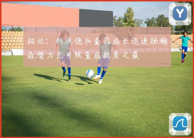 拓记：科沃德和奎因成长迅速杨瀚森潜力无可限量成新秀之最