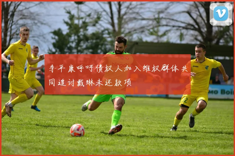 李平康呼吁债权人加入维权群体共同追讨戴琳未还款项