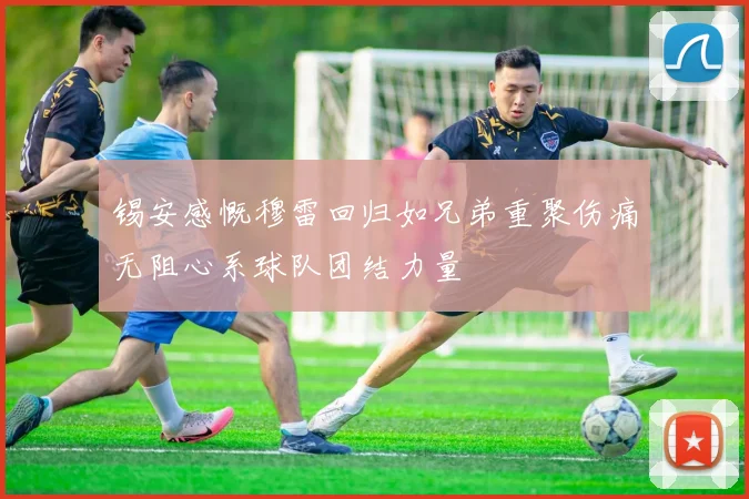 锡安感慨穆雷回归如兄弟重聚伤痛无阻心系球队团结力量